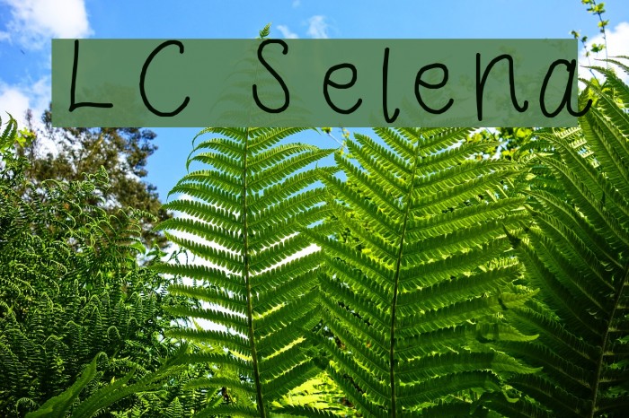 LC Selena Font examples