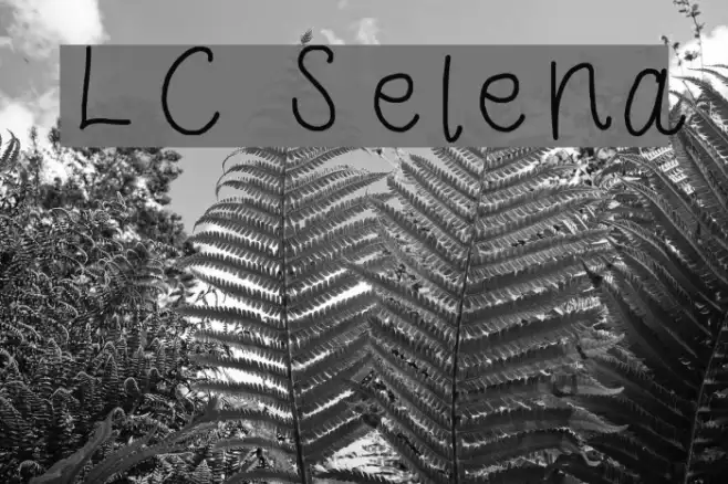 LC Selena Example 1