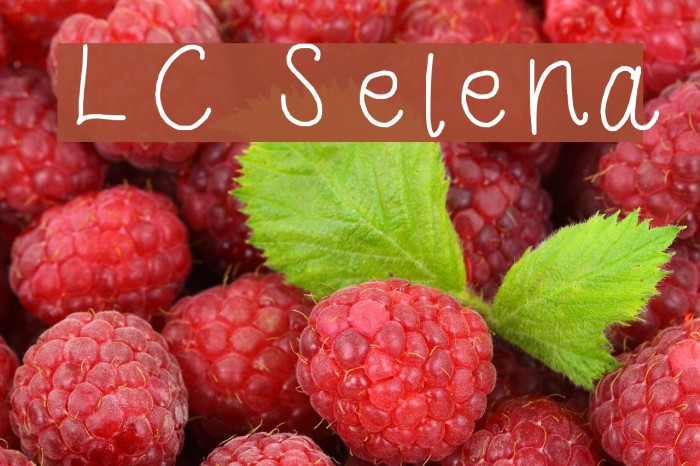 LC Selena Font examples