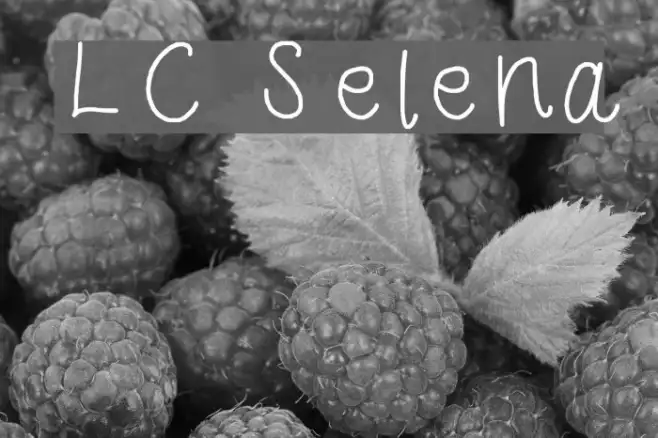 LC Selena Example 3