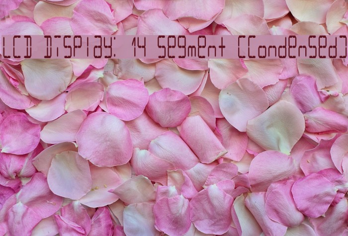 LCD Display: 14 Segment (Condensed) Example 1