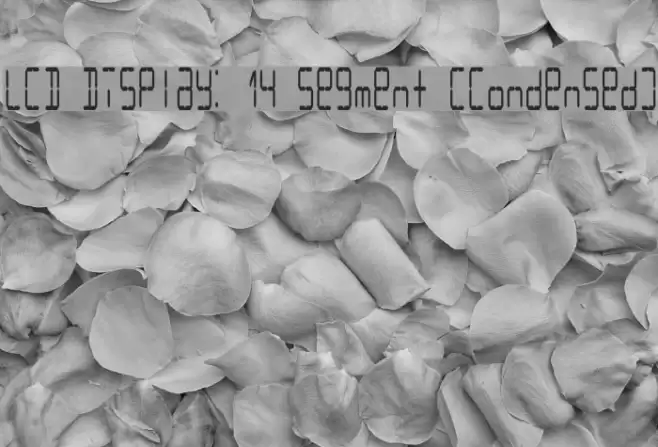 LCD Display: 14 Segment (Condensed) Font examples
