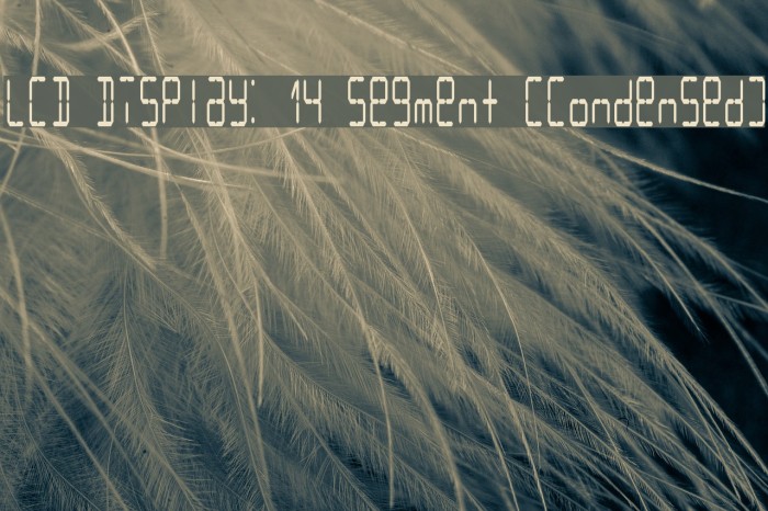 LCD Display: 14 Segment (Condensed) Example 3