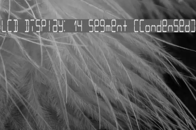 LCD Display: 14 Segment (Condensed) Font examples