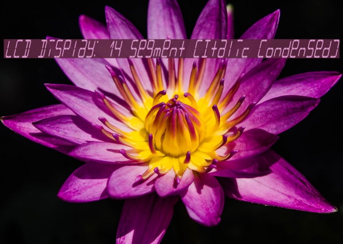 LCD Display: 14 Segment (Italic Condensed) Font examples