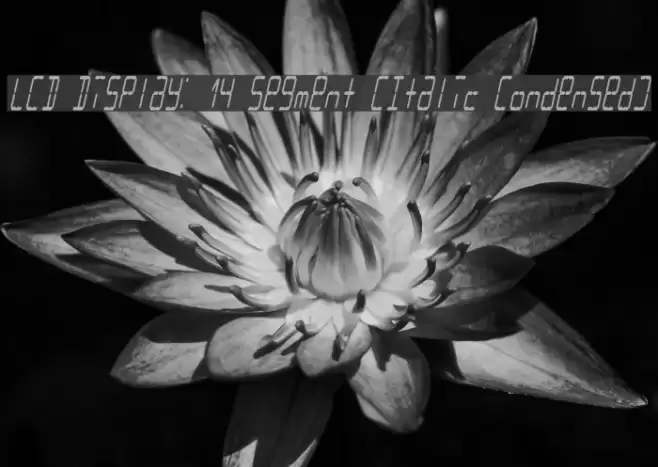 LCD Display: 14 Segment (Italic Condensed) Font examples