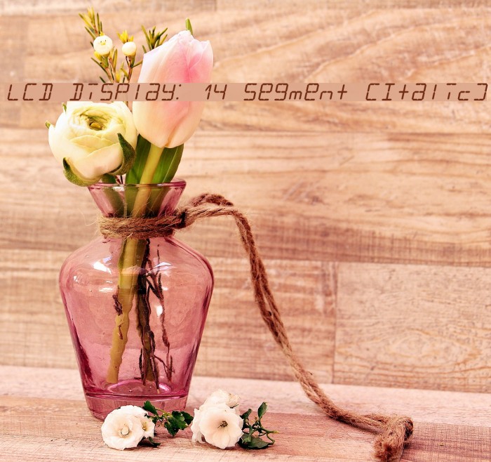 LCD Display: 14 Segment (Italic) Example 2