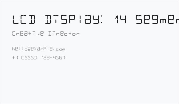 LCD Display: 14 Segment Business Card