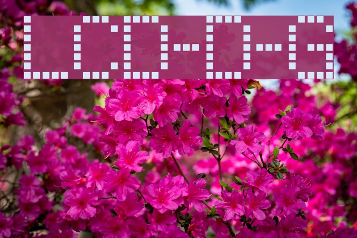 LCD-Display-Grid Font examples