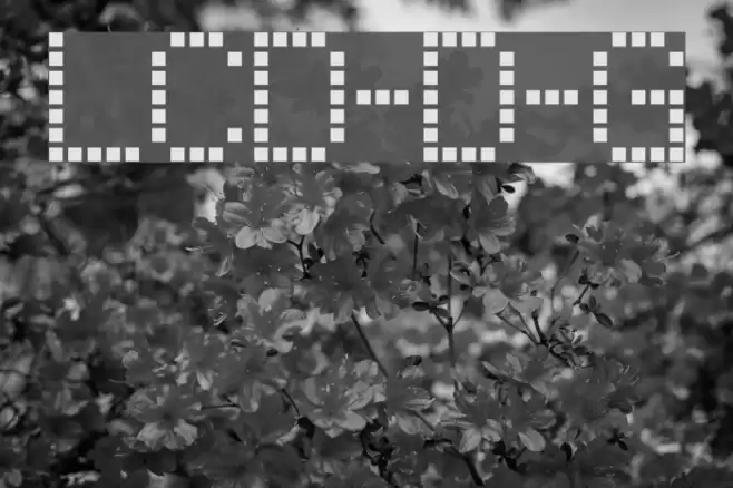 LCD-Display-Grid フォント examples