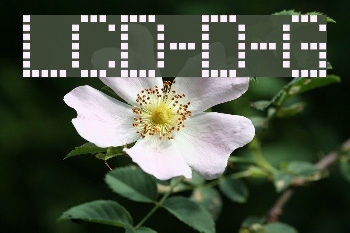 LCD-Display-Grid Font examples