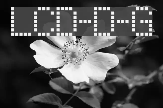 LCD-Display-Grid フォント examples