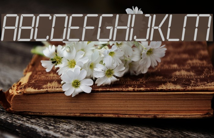 LCD Light Font examples