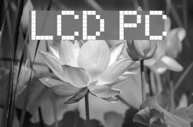 LCD PC Font examples