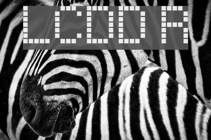 LCDDot Regular Font examples