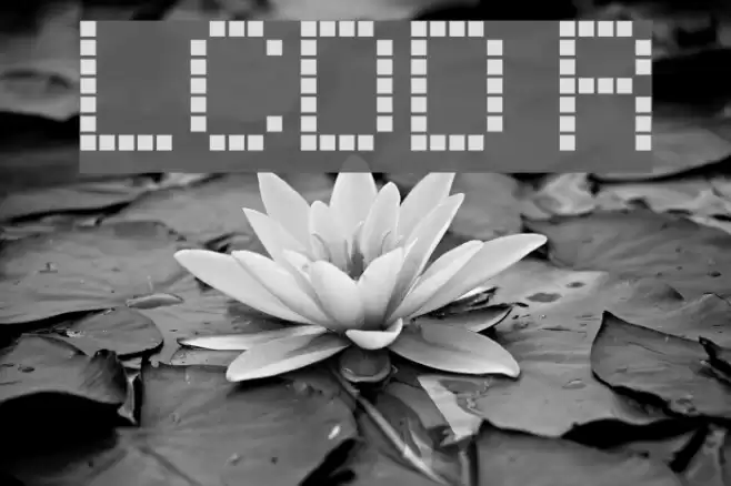 LCDDot Regular फ़ॉन्ट examples