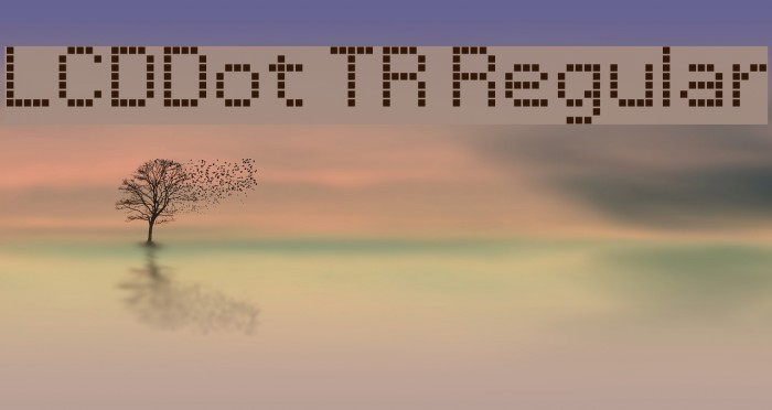 LCDDot TR Regular Example 2