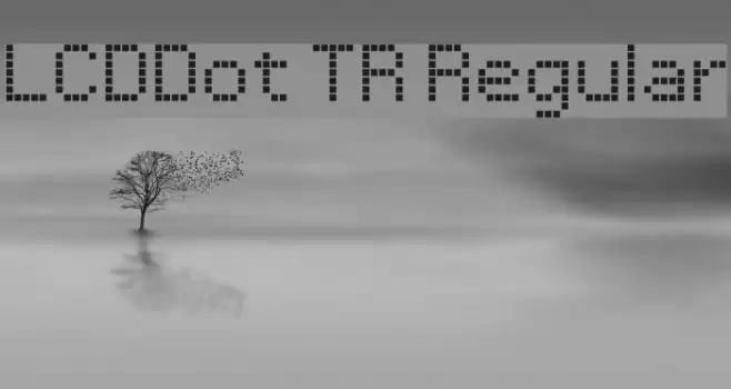 LCDDot TR Regular Font examples