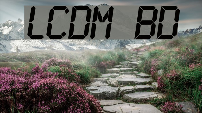 LCDMono Bold Font examples