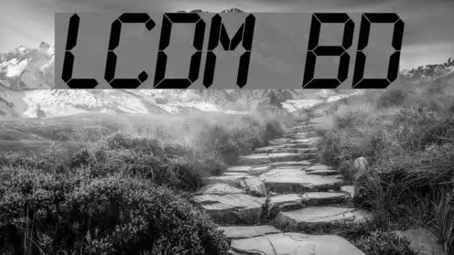 LCDMono Bold Example 2