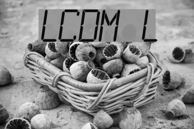 LCDMono Light Fonte examples