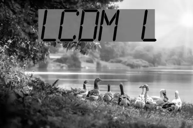 LCDMono Light Fonte examples