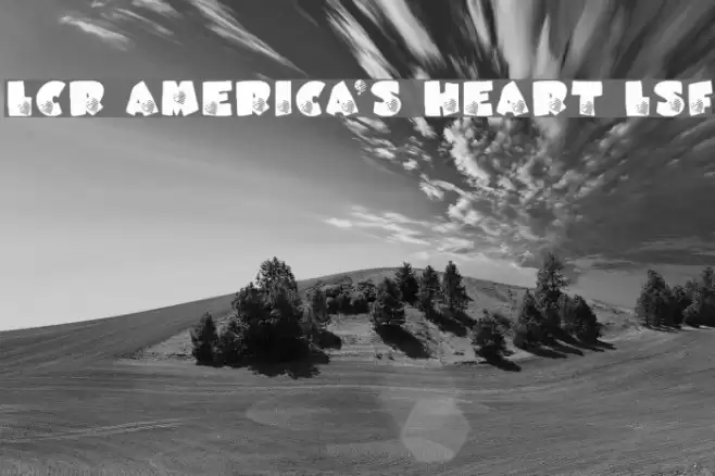 LCR America's Heart LSF Polices examples