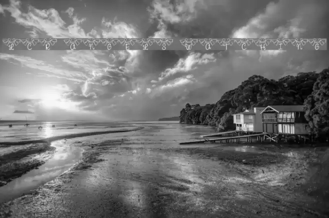 LCR Angels Watching Font examples