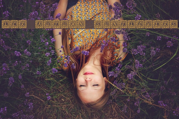 LCR Autumn Sunflowers Font examples