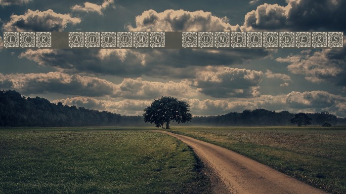 LCR Autumn Sunflowers Font examples