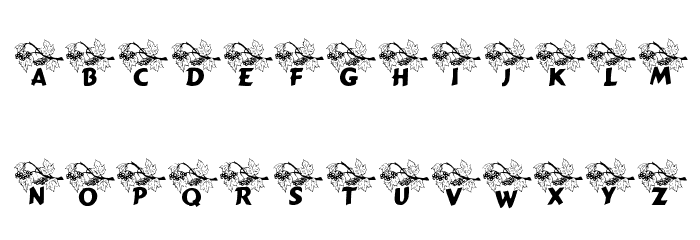 LCR Autumn Font LOWERCASE
