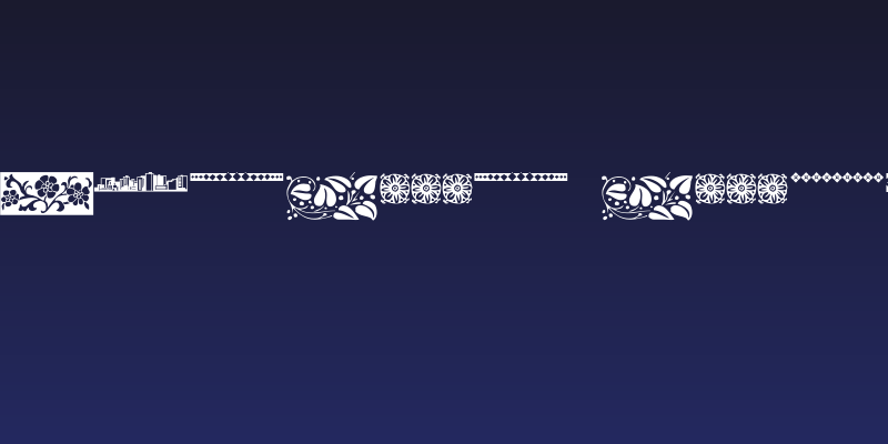 LCR Border Designz Social Header