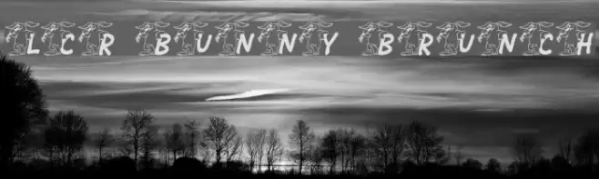 LCR Bunny Brunch Font examples