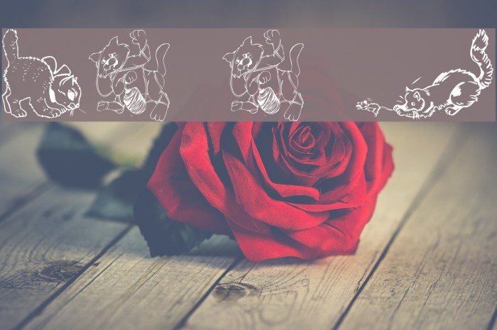 LCR Cat's Meow Font examples