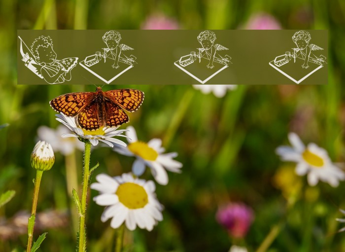 LCR Cutesy Cupid Font examples