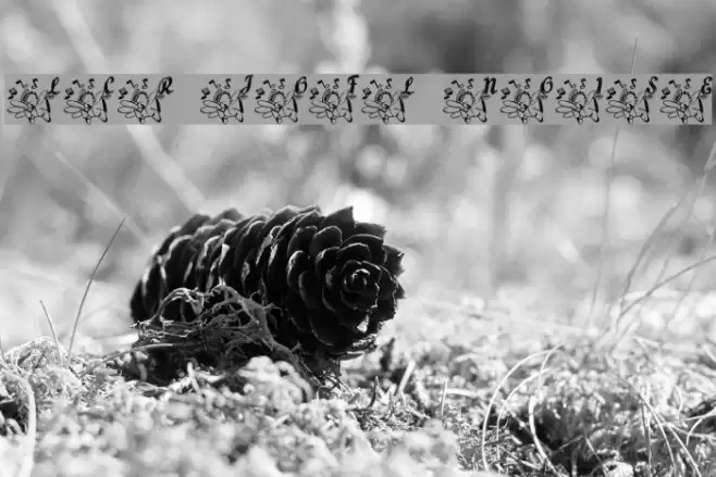 LCR Joyful Noise Font examples