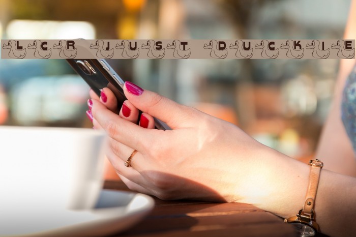 LCR Just Duckie Example 1