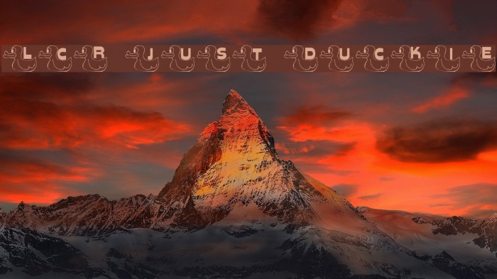 LCR Just Duckie Example 2