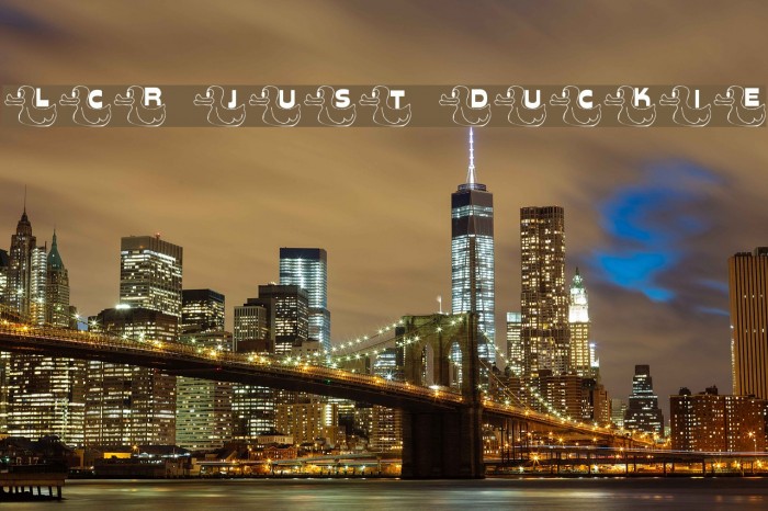 LCR Just Duckie Example 3