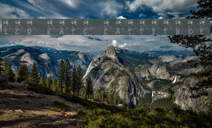 LCR Kat's Cattitude Example 2