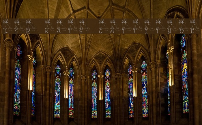 LCR Kat's Cattitude Example 3