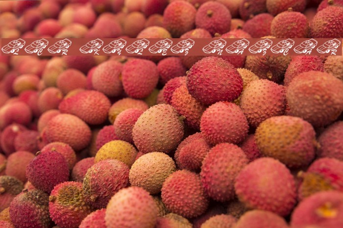 LCR Kylez Nazcar Example 1