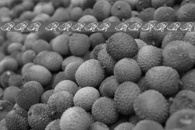 LCR Kylez Nazcar Font examples