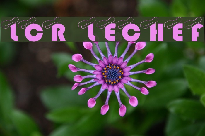 LCR LeChef Font examples