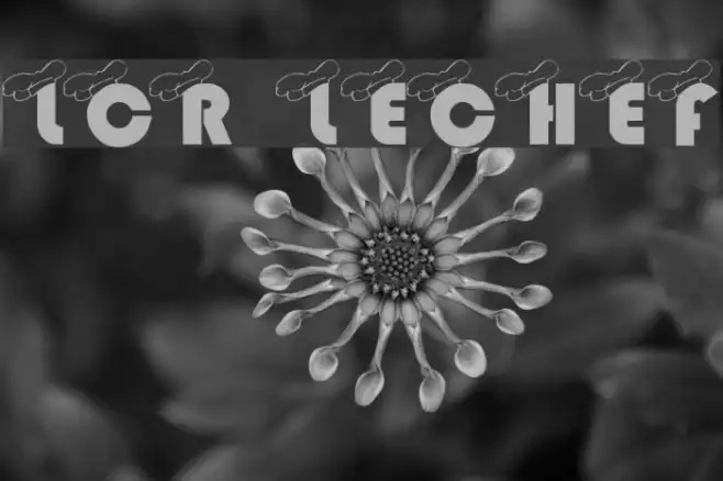 LCR LeChef Example 3