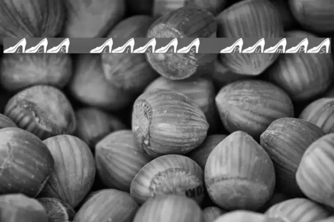 LCR Lisa's Pumps Font examples