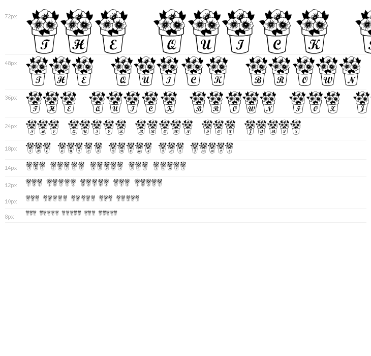 LCR Pansy Peepers Waterfall