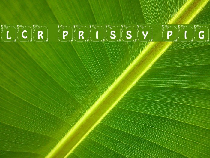 LCR Prissy Pig Example 1