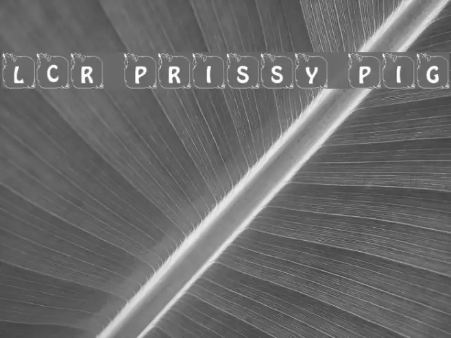 LCR Prissy Pig Font examples