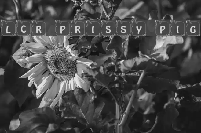 LCR Prissy Pig Font examples